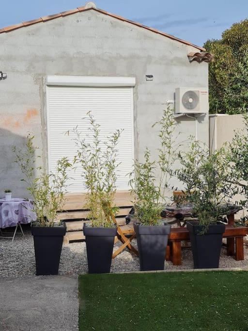Appartement 53 M² - Pignans Au Coeur Du Var Eksteriør billede